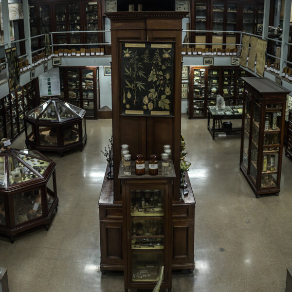 Museo de Farmacobotánica “Juan Aníbal Domínguez” 