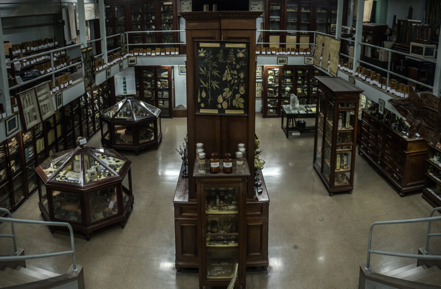 Museo de Farmacobotánica “Juan Aníbal Domínguez” 